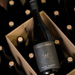 pinot-noir_2